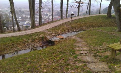 WP_20150403_012